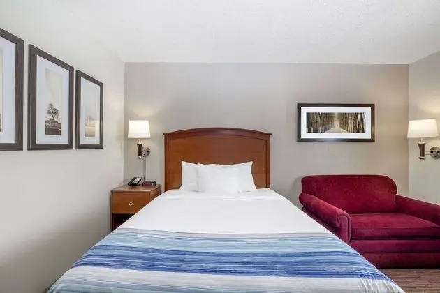 Oda, 1 Büyük (Queen) Boy Yatak, Sigara İçilmez (Pet-Friendly)