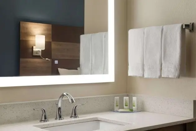 Oda, 1 En Büyük (King) Boy Yatak, Engellilere Uygun, Sigara İçilmez (Tub with Grab Bars)