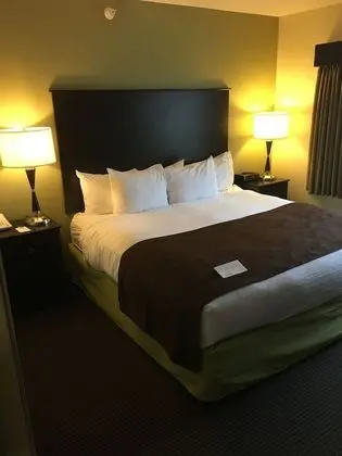 Süit, 1 Yatak Odası, Sigara İçilmez (1 Kingbed)