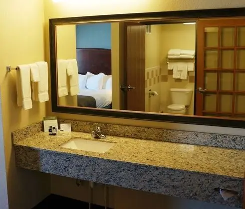 Deluxe Süit, 1 En Büyük (King) Boy Yatak, Sigara İçilmez