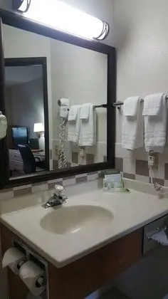 Deluxe Oda, 1 En Büyük (King) Boy Yatak, Sigara İçilmez