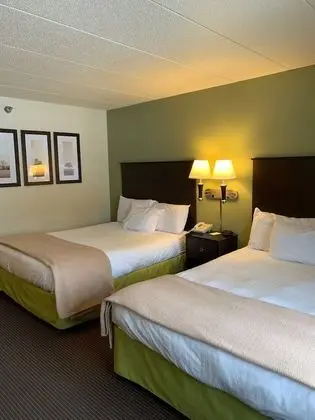 Deluxe Oda, 2 Büyük (Queen) Boy Yatak, Sigara İçilmez (Pet-Friendly)