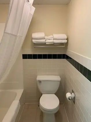 Deluxe Oda, 2 Büyük (Queen) Boy Yatak, Sigara İçilmez (Pet-Friendly)