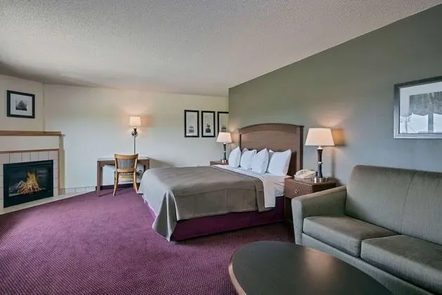 Premier Stüdyo Süit, 1 En Büyük (King) Boy Yatak, Sigara İçilmez