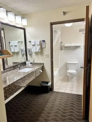 Premier Stüdyo Süit, 1 En Büyük (King) Boy Yatak, Sigara İçilmez