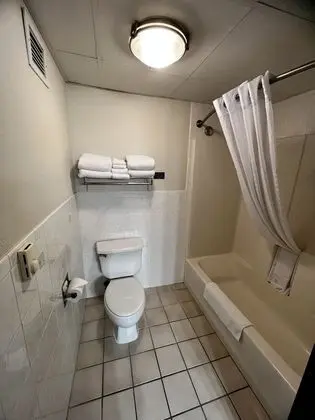 Süit, 1 En Büyük (King) Boy Yatak, Sigara İçilmez