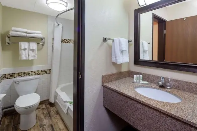 Süit, 1 En Büyük (King) Boy Yatak, Sigara İçilmez, Havuz Manzaralı