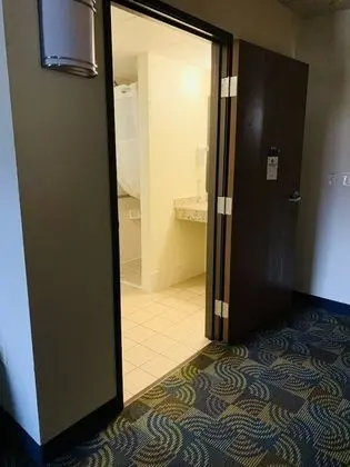 Stüdyo Süit, 1 En Büyük (King) Boy Yatak, Engellilere Uygun, Sigara İçilmez (Mobility)