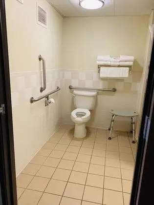 Stüdyo Süit, 1 En Büyük (King) Boy Yatak, Engellilere Uygun, Sigara İçilmez (Mobility)