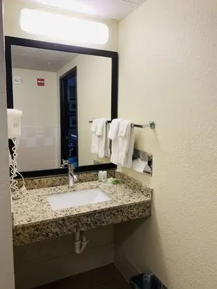 Stüdyo Süit, 1 En Büyük (King) Boy Yatak, Engellilere Uygun, Sigara İçilmez (Mobility)