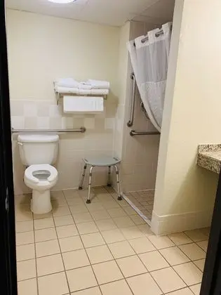 Stüdyo Süit, 1 En Büyük (King) Boy Yatak, Engellilere Uygun, Sigara İçilmez (Mobility)