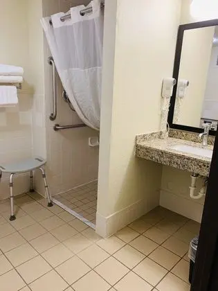 Stüdyo Süit, 1 En Büyük (King) Boy Yatak, Engellilere Uygun, Sigara İçilmez (Mobility)