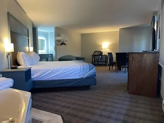 Deluxe Oda, 1 En Büyük (King) Boy Yatak, Sigara İçilmez