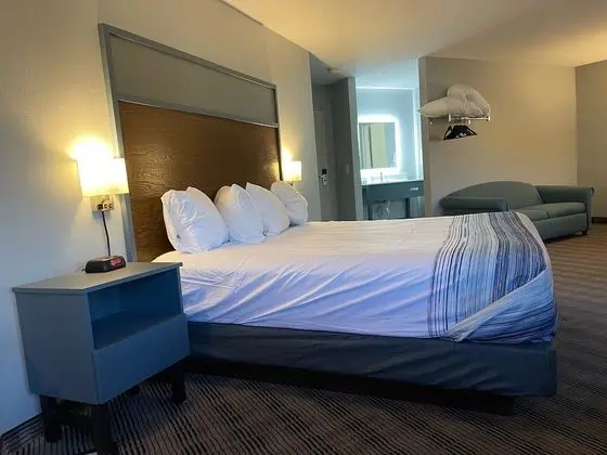 Deluxe Oda, 1 En Büyük (King) Boy Yatak, Sigara İçilmez