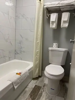 Deluxe Oda, 1 En Büyük (King) Boy Yatak, Sigara İçilmez