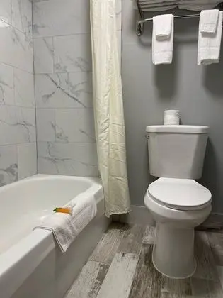 Oda, Sigara İçilmez (1 Queen Murphy Bed)