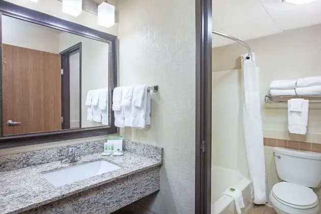 Süit, 1 En Büyük (King) Boy Yatak, Sigara İçilmez (One-Bedroom)