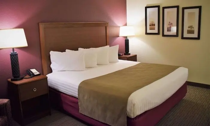 Süit, 1 En Büyük (King) Boy Yatak, Sigara İçilmez