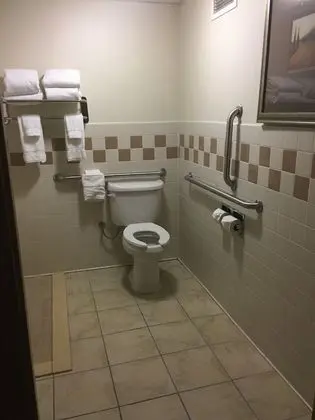 Stüdyo Süit, 1 En Büyük (King) Boy Yatak, Engellilere Uygun, Sigara İçilmez (Mobility Accessible)