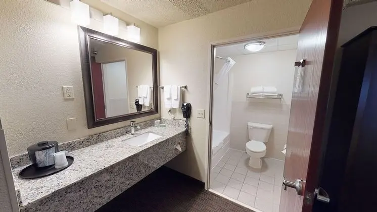 Premier Süit, 1 En Büyük (King) Boy Yatak, Sigara İçilmez (One-Bedroom Suite)