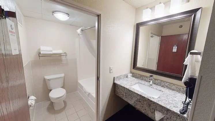 Premier Süit, 1 En Büyük (King) Boy Yatak, Sigara İçilmez (One-Bedroom Suite)