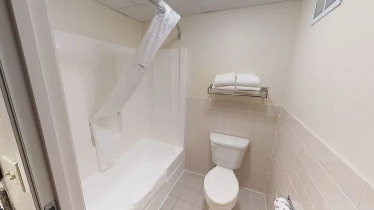 Premier Süit, 1 En Büyük (King) Boy Yatak, Sigara İçilmez (One-Bedroom Suite)