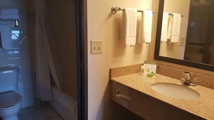 Deluxe Oda, 2 Büyük (Queen) Boy Yatak, Sigara İçilmez (Pet Friendly)
