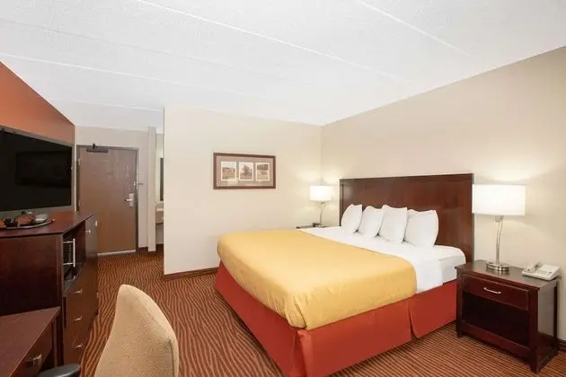 Premier Süit, 1 En Büyük (King) Boy Yatak, Sigara İçilmez (One-Bedroom)