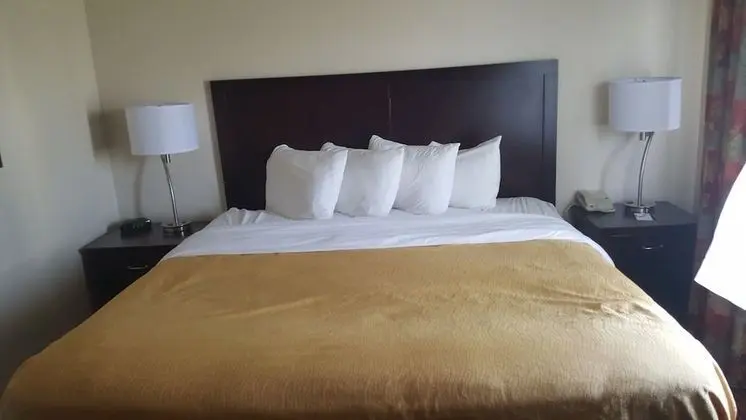 Premier Süit, 1 En Büyük (King) Boy Yatak, Sigara İçilmez (One-Bedroom)
