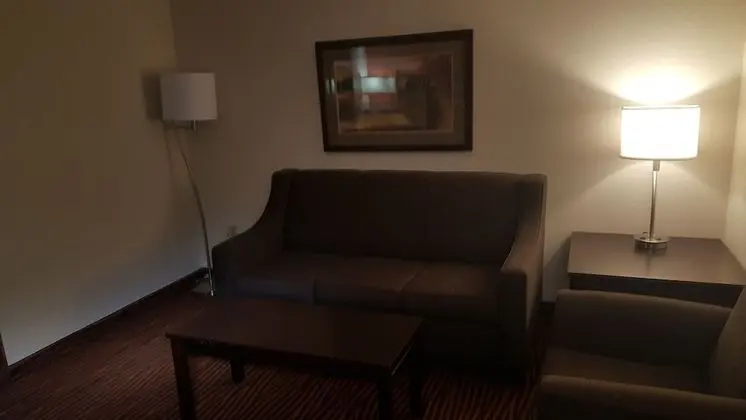 Premier Süit, 1 En Büyük (King) Boy Yatak, Sigara İçilmez (One-Bedroom)
