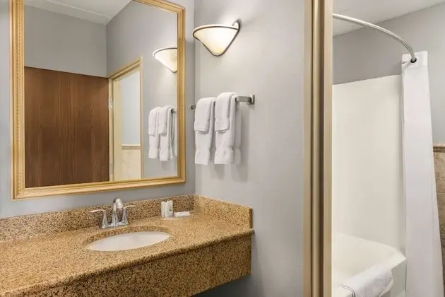 Oda, 1 En Büyük (King) Boy Yatak, Engellilere Uygun, Sigara İçilmez (Pet Friendly)