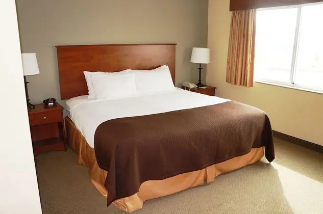 Premier Süit, 1 Yatak Odası, Sigara İçilmez (1 King Bed)
