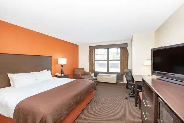 Deluxe Oda, 2 Büyük (Queen) Boy Yatak, Sigara İçilmez (Pet Friendly)