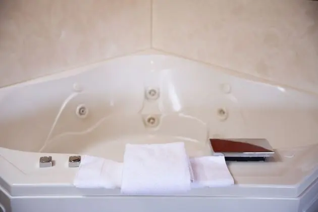 Deluxe Oda, 1 En Büyük (King) Boy Yatak, Sigara İçilmez, Sıcak Su Küveti