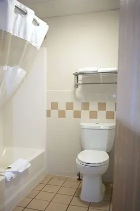 Deluxe Oda, 1 En Büyük (King) Boy Yatak, Sigara İçilmez, Sıcak Su Küveti