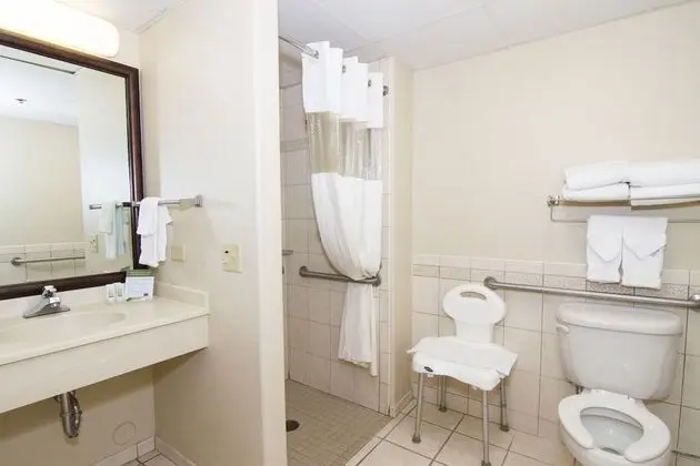 Stüdyo Süit, 1 En Büyük (King) Boy Yatak, Engellilere Uygun, Sigara İçilmez (Roll-In Shower)