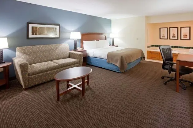 Deluxe Süit, 1 En Büyük (King) Boy Yatak, Sigara İçilmez (One-Bedroom Suite)