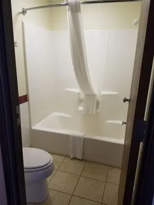 Stüdyo Süit, 1 En Büyük (King) Boy Yatak, Sigara İçilmez