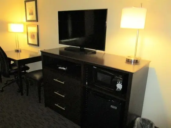 Deluxe Süit, 1 En Büyük (King) Boy Yatak, Sigara İçilmez (One-Bedroom)