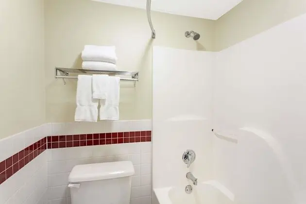 Deluxe Oda, 2 Büyük (Queen) Boy Yatak, Engellilere Uygun, Sigara İçilmez (Mobility, Roll-In Shower)