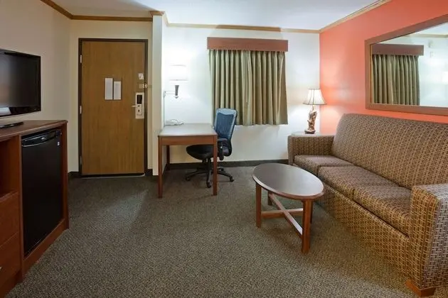 Süit, 1 En Büyük (King) Boy Yatak, Sigara İçilmez (One-Bedroom)