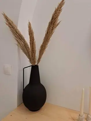 Standard Üç Kişilik Oda (Internal)