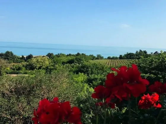 Panoramic Apart Daire, Deniz Manzaralı