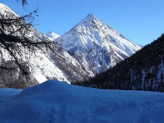Ev