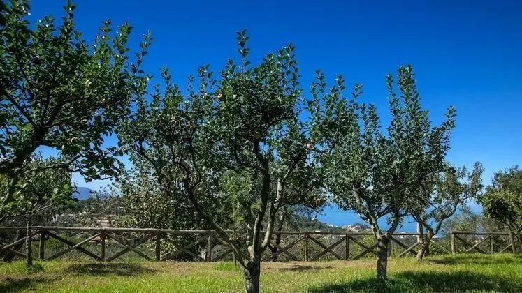 Villa, Sigara İçilebilir