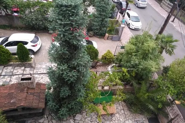 Luxury Süit, Balkon, Dağ Manzaralı