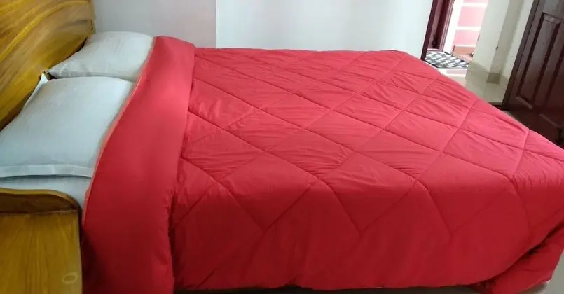 Standard Tek Büyük Yataklı Oda, 1 Çift Kişilik Yatak