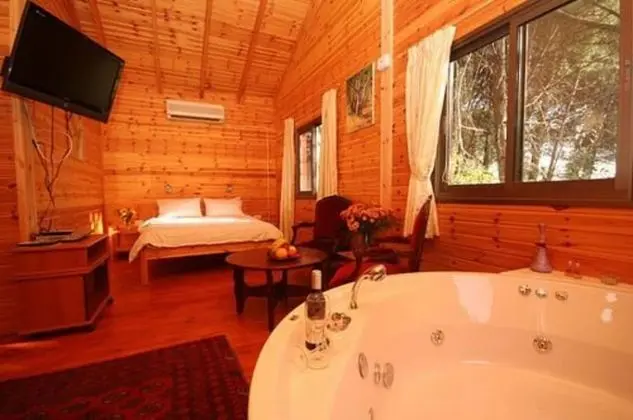 Alon Cabin