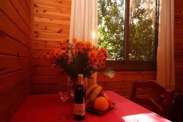 Alon Cabin