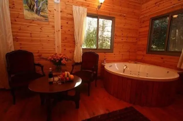 Alon Cabin